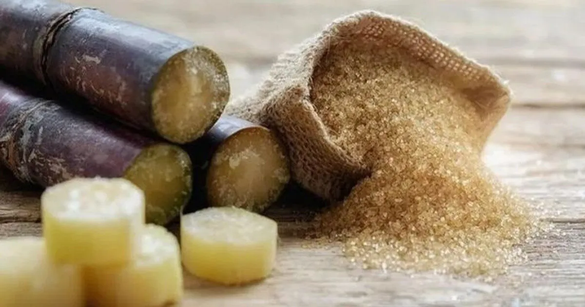 Danh sách cổ phiếu ngành mía đường và tiềm năng đầu tư